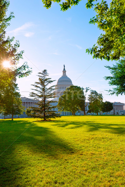 Edifício Washington DC pôr do sol jardim EUA casa Foto stock © lunamarina