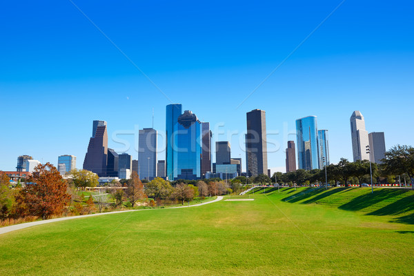 Houston panoramę parku trawy Texas Zdjęcia stock © lunamarina