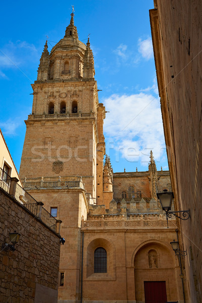 Kathedrale Fassade Spanien Weg Himmel Stock foto © lunamarina