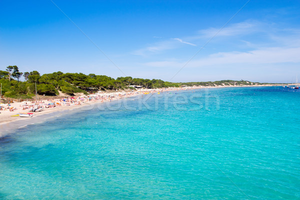 Ibiza Ses Salines south turquoise beach Stock photo © lunamarina