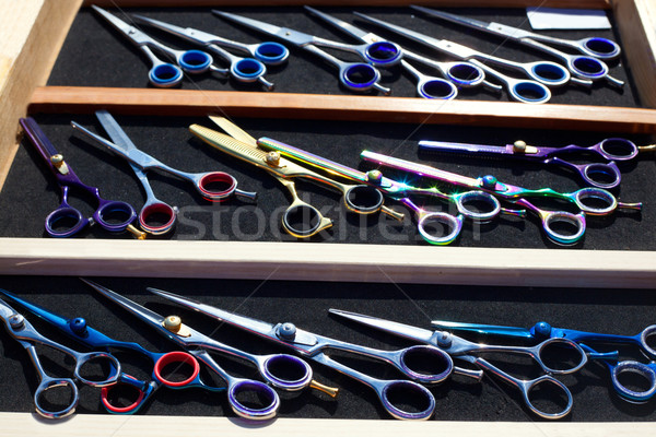 Kolorowy nożyczki tytan zawodowych moda metal Zdjęcia stock © lunamarina