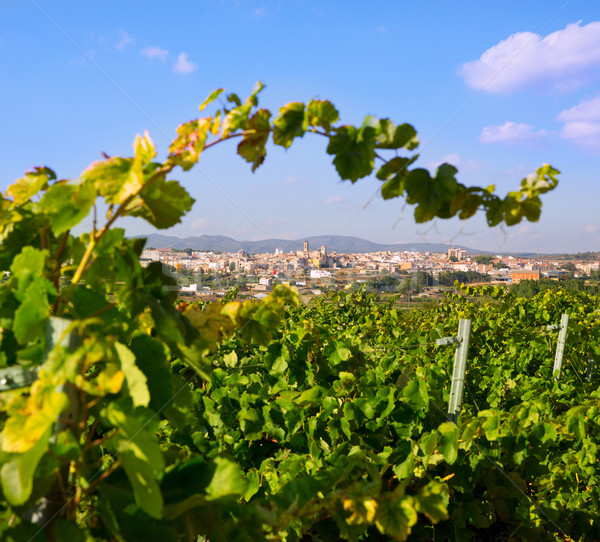 Requena in Valencia province a wine region of Spain Stock photo © lunamarina