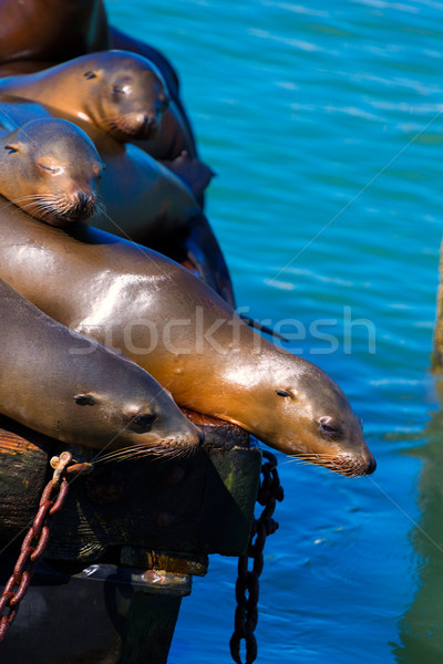 San Francisco pier phare Californie USA plage [[stock_photo]] © lunamarina