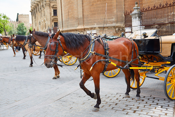 Stock photo: Seville horse carriages in Cathedral of Sevilla