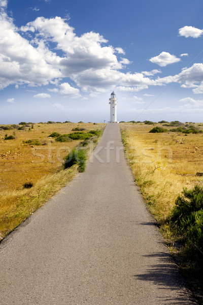 Barbaria berberia cape lighthouse Formentera meadow Stock photo © lunamarina