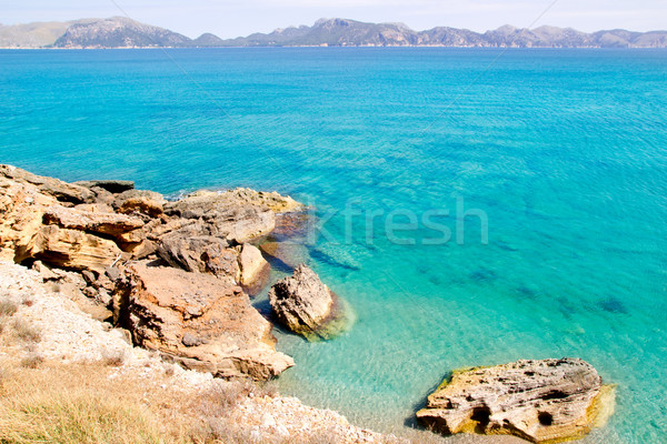 Alcudia in Mallorca la Victoria turquoise beach Stock photo © lunamarina