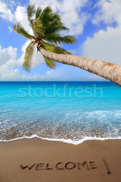 Foto stock: Marrón · arena · de · la · playa · escrito · palabra · bienvenida · tropicales