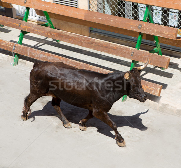 running of the bulls at street fest in Spain Stock photo © lunamarina