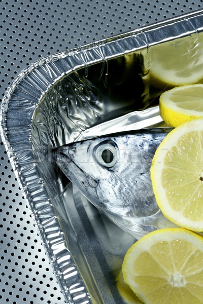 商业照片: 小· 金枪鱼 ·银· 颜色 ·假· 地中海