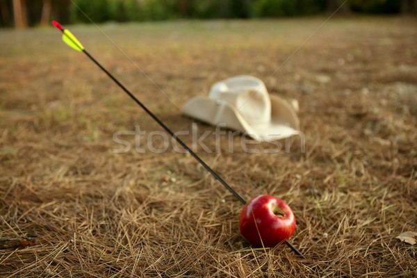William tell metaphor with red apple and arrow  Stock photo © lunamarina