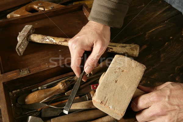 craftman carpenter hand tools artist Stock photo © lunamarina