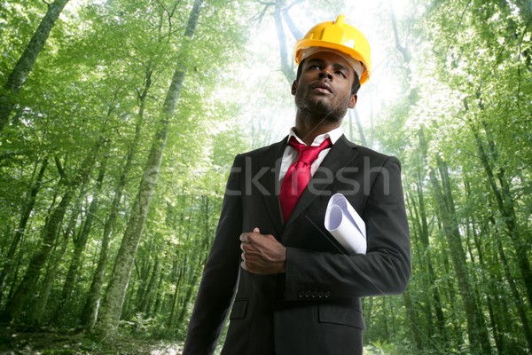 Ecológico floresta projeto planos capacete homem Foto stock © lunamarina