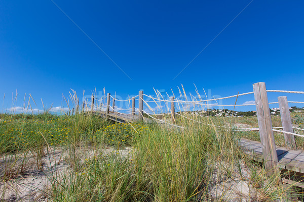 Stock photo: Alaior Cala Son Bou in Menorca dunes at Balearic