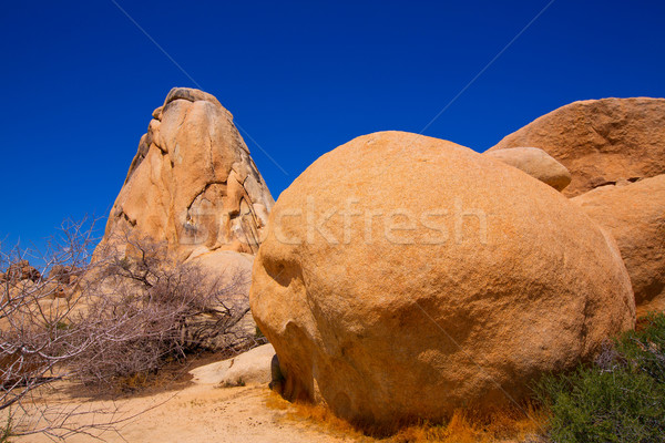 Fa park kereszteződés kő Kalifornia sivatag Stock fotó © lunamarina