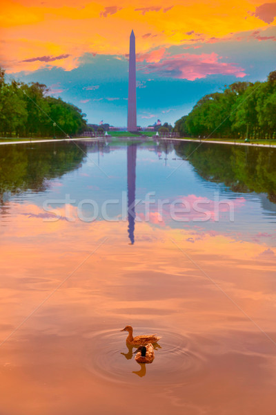 Washington Monument zonsopgang zwembad gebouw stad oranje Stockfoto © lunamarina