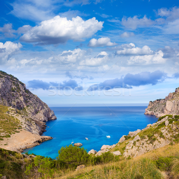 Foto stock: Praia · mallorca · ilha · Espanha · paisagem · montanha