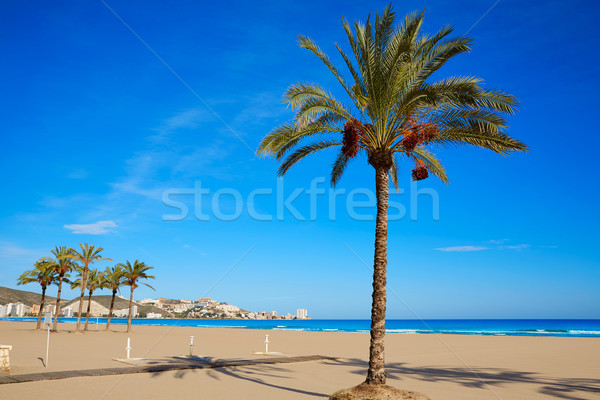 Praia Valência Espanha céu paisagem oceano Foto stock © lunamarina