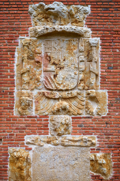 Zamora archaeological remains mosaic Spain Stock photo © lunamarina