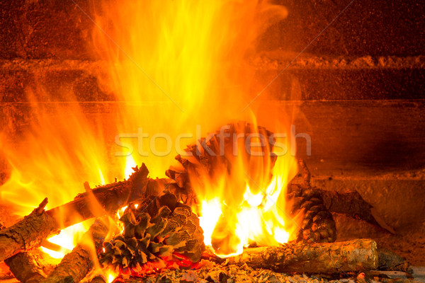 Burning Firewood In Chimney With Pine Cones Stock Photo C Tono