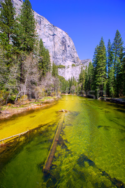 Yosemite Merced River and el Capitan in California Stock photo © lunamarina