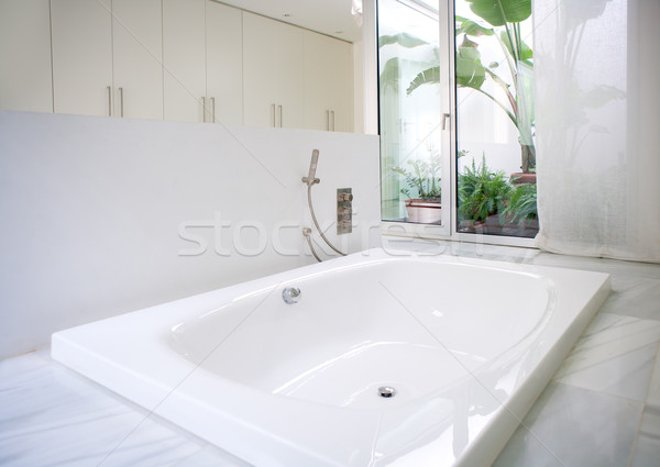 Modern white house bathroom bathtub with courtyard skylight Stock photo © lunamarina
