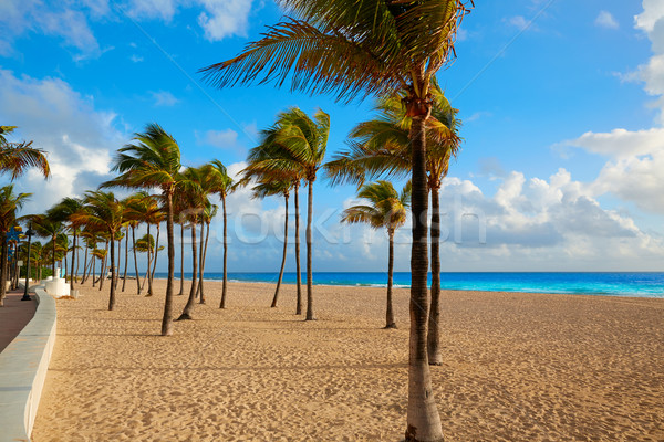 Fort lauderdale spiaggia sunrise Florida mattina USA Foto d'archivio © lunamarina