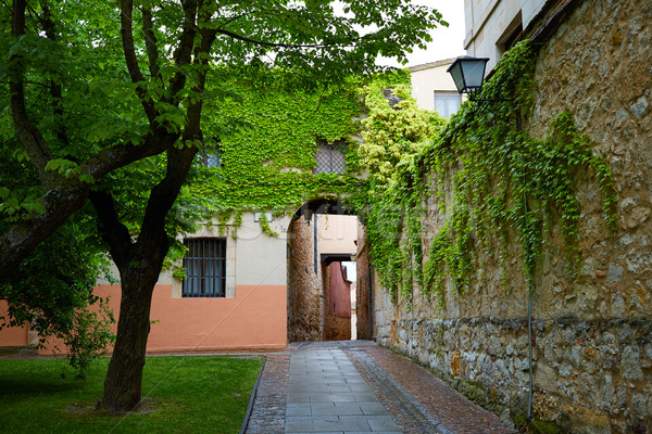 Zamora Calle Troncoso street arch Spain Stock photo © lunamarina