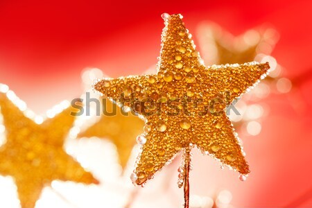 christmas golden drops star in red Stock photo © lunamarina