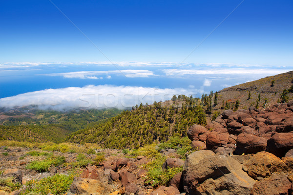 La Palma Caldera de Taburiente sea of clouds Stock photo © lunamarina