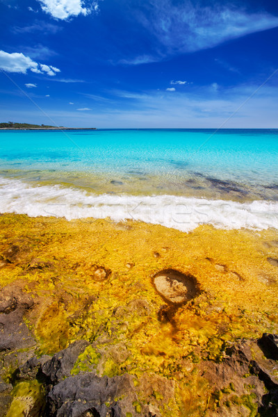 Menorca Son Saura beach in Ciutadella turquoise Balearic Stock photo © lunamarina