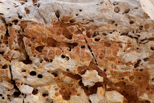 eroded weathered limestone in Mediterranean shore Stock photo © lunamarina