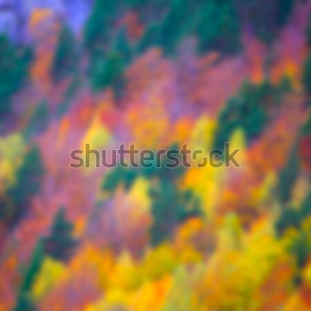 Autumn forest in Pyrenees Valle de Ordesa Huesca Spain Stock photo © lunamarina