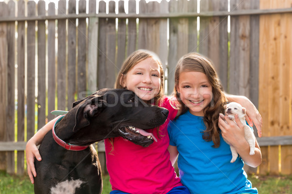 Foto stock: Gêmeo · irmãs · cachorro · animal · de · estimação · cão