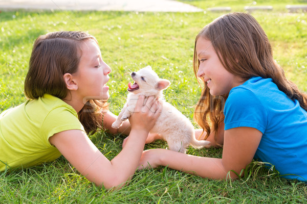 twin sister kid girls and puppy dog lying in lawn Stock photo © lunamarina