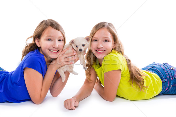 happy twin sister kid girls and puppy dog lying Stock photo © lunamarina