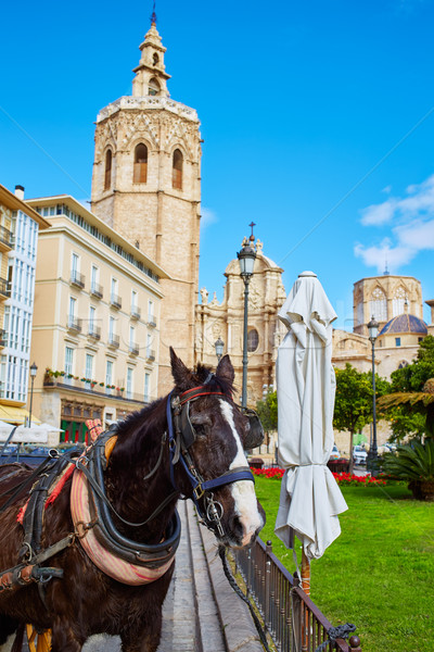 Valencia cuadrados catedral iglesia carretera caballo Foto stock © lunamarina