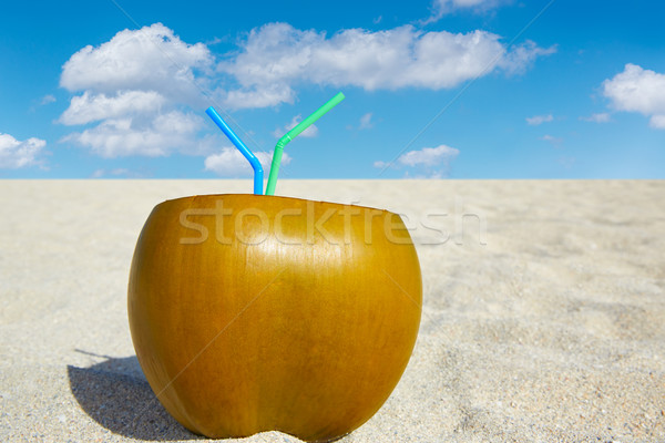 Coco boire plage tropicale sable blanc ciel eau [[stock_photo]] © lunamarina