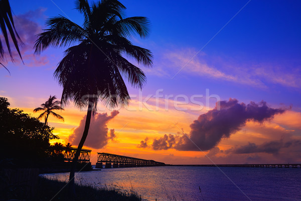 Florida Keys old bridge sunset at Bahia Honda Stock photo © lunamarina