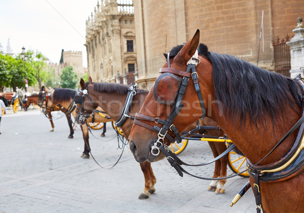Seville horse carriages in Cathedral of Sevilla Stock photo © lunamarina