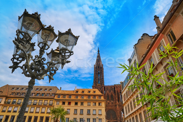Strasbourg city and Notre Dame Cathedral France Stock photo © lunamarina