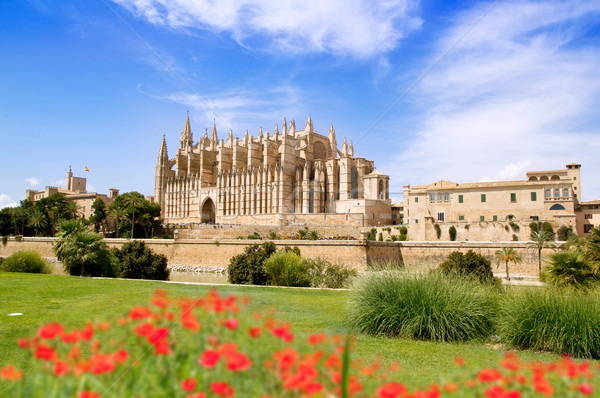 Majorca Cathedral and Almudaina from red flowers garden Stock photo © lunamarina
