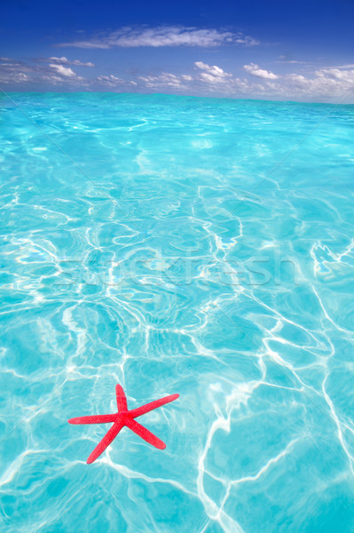 Stock fotó: Tengeri · csillag · nyár · szimbólum · trópusi · tengerpart · nyári · vakáció · türkiz