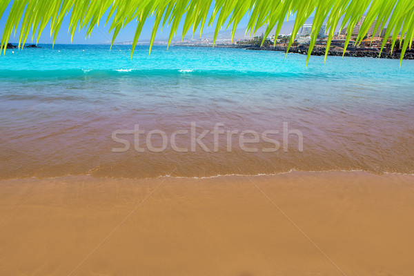 Las Americas Beach Adeje coast Beach in Tenerife Stock photo © lunamarina