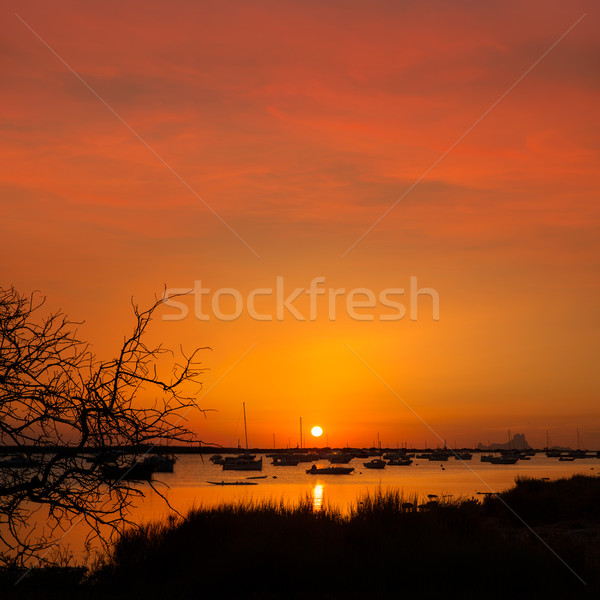 Formentera sunset in Estany des Peix with Ibiza Es vedra Stock photo © lunamarina