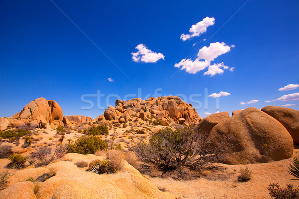 Skull rock in Joshua tree National Park Mohave California Stock photo © lunamarina