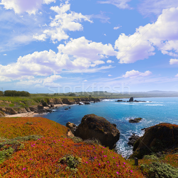Kalifornia galamb pont tengerpart tengerparti autópálya Stock fotó © lunamarina