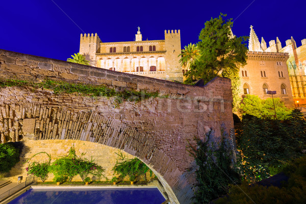 Almudaina Palace in Palma de Mallorca Majorca Stock photo © lunamarina