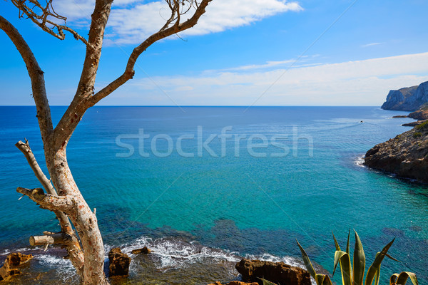 Plaży wody charakter krajobraz świetle morza Zdjęcia stock © lunamarina