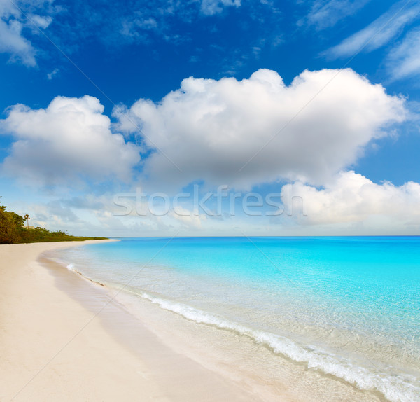 Florida Keys beach Bahia Honda Park US Stock photo © lunamarina