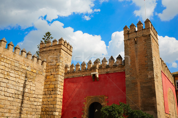Wirklich Festung Spanien Tür Stadt Wand Stock foto © lunamarina